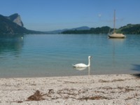 image2.jpg